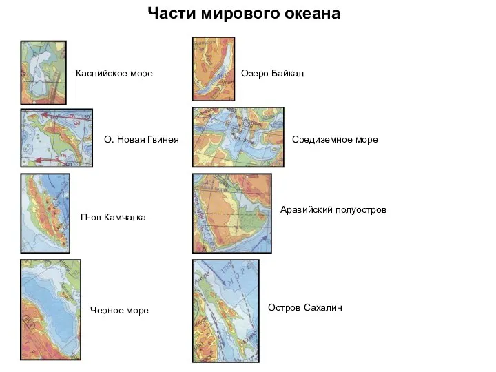 Части мирового океана Каспийское море О. Новая Гвинея П-ов Камчатка Черное