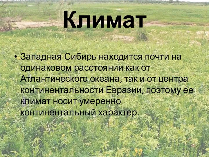 Климат Западная Сибирь находится почти на одинаковом расстоянии как от Атлантического