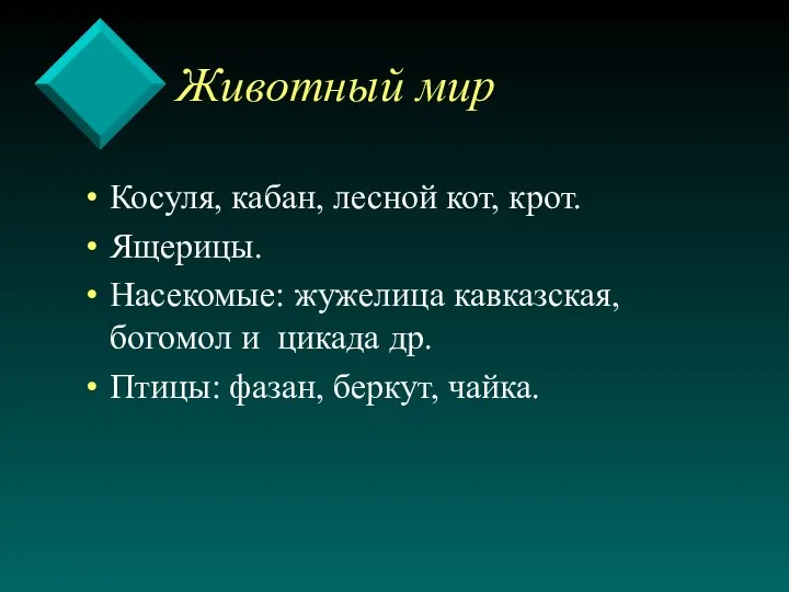 Животный мир Косуля, кабан, лесной кот, крот. Ящерицы. Насекомые: жужелица кавказская,