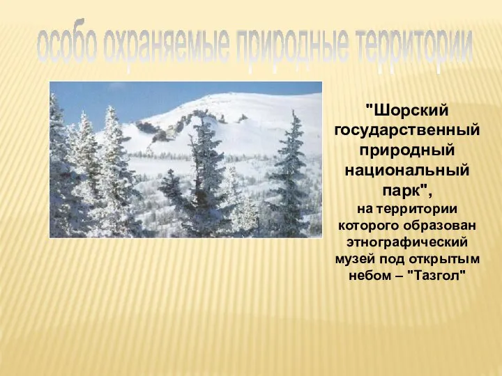 "Шорский государственный природный национальный парк", на территории которого образован этнографический музей