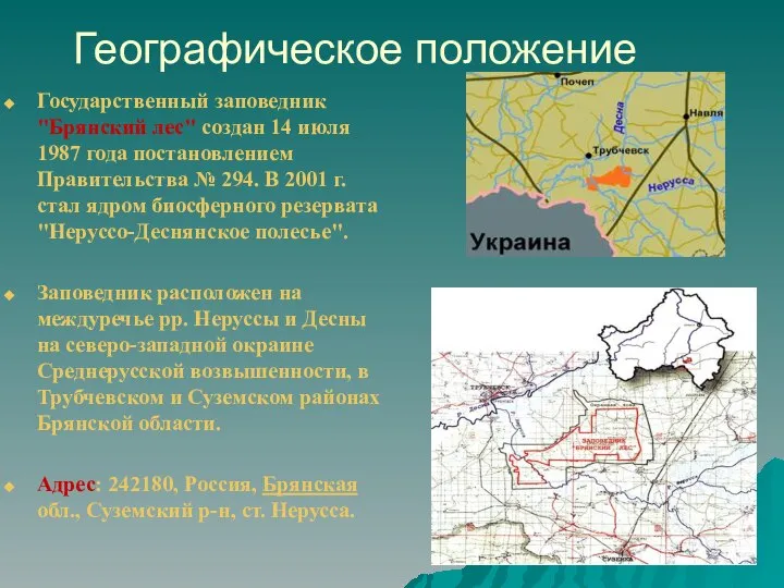 Географическое положение Государственный заповедник "Брянский лес" создан 14 июля 1987 года