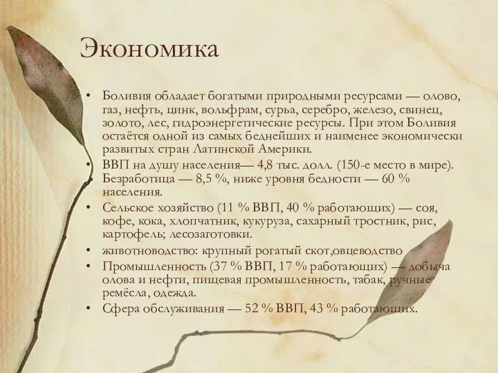 Экономика Боливия обладает богатыми природными ресурсами — олово, газ, нефть, цинк,