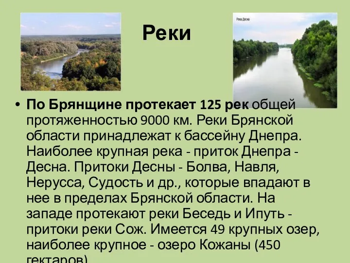 Реки По Брянщине протекает 125 рек общей протяженностью 9000 км. Реки