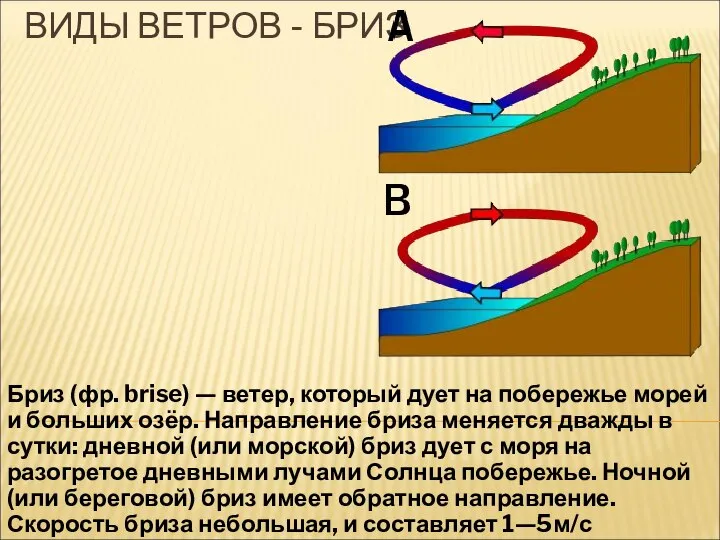 ВИДЫ ВЕТРОВ - БРИЗ Бриз (фр. brise) — ветер, который дует