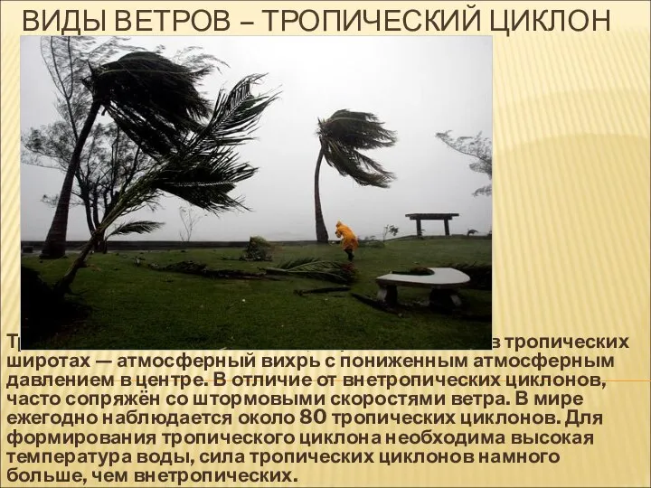 ВИДЫ ВЕТРОВ – ТРОПИЧЕСКИЙ ЦИКЛОН Тропический циклон — циклон, образовавшийся в