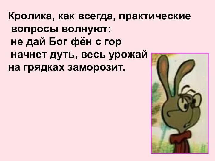 Кролика, как всегда, практические вопросы волнуют: не дай Бог фён с