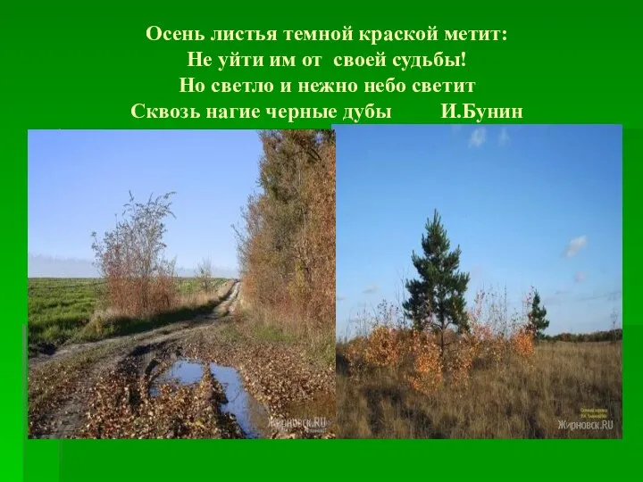 Осень листья темной краской метит: Не уйти им от своей судьбы!