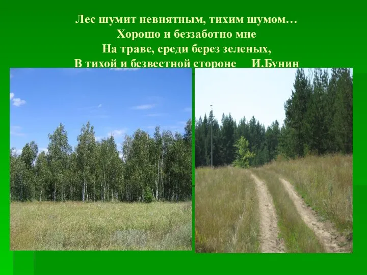 Лес шумит невнятным, тихим шумом… Хорошо и беззаботно мне На траве,