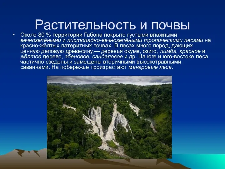 Растительность и почвы Около 80 % территории Габона покрыто густыми влажными