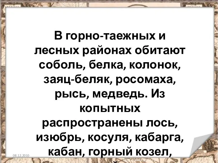 08.12.2010 В горно-таежных и лесных районах обитают соболь, белка, колонок, заяц-беляк,