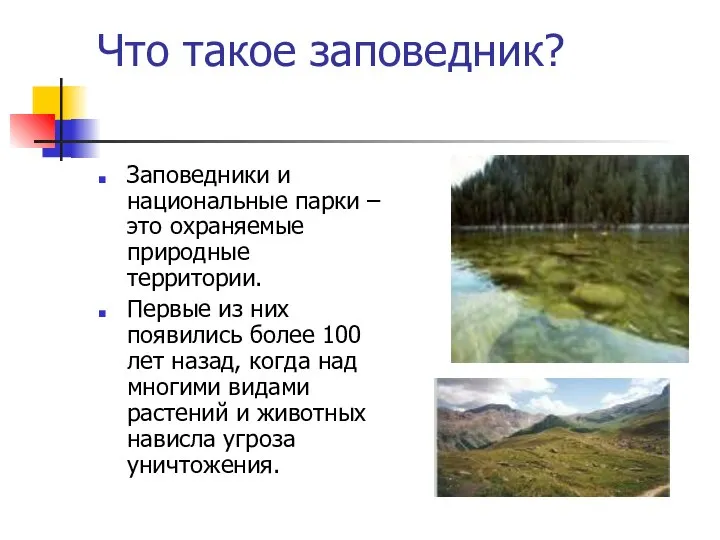 Что такое заповедник? Заповедники и национальные парки – это охраняемые природные