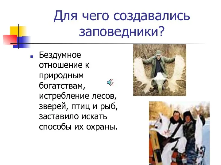 Для чего создавались заповедники? Бездумное отношение к природным богатствам, истребление лесов,