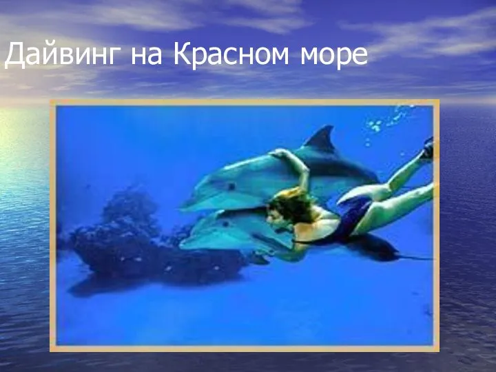 Дайвинг на Красном море