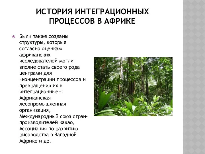 ИСТОРИЯ ИНТЕГРАЦИОННЫХ ПРОЦЕССОВ В АФРИКЕ Были также созданы структуры, которые согласно