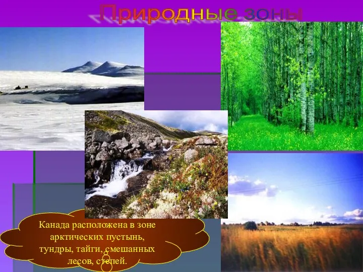 Природные зоны Канада расположена в зоне арктических пустынь, тундры, тайги, смешанных лесов, степей.