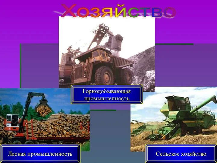 Хозяйство Горнодобывающая промышленность Сельское хозяйство Лесная промышленность