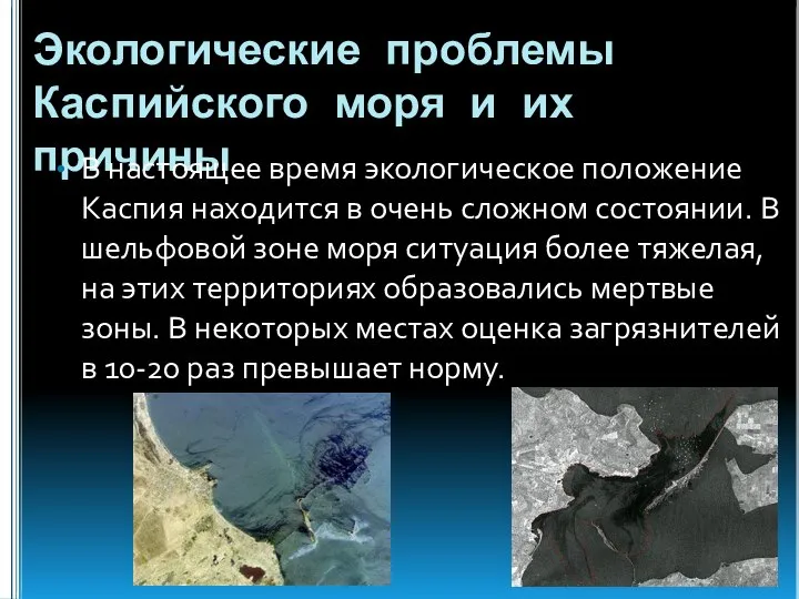 Экологические проблемы Каспийского моря и их причины В настоящее время экологическое