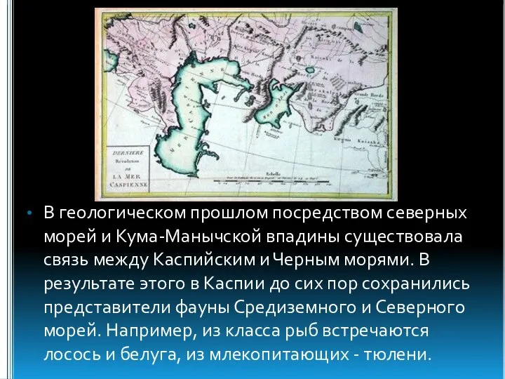 В геологическом прошлом посредством северных морей и Кума-Манычской впадины существовала связь