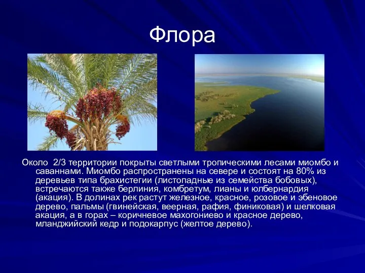 Флора Около 2/3 территории покрыты светлыми тропическими лесами миомбо и саваннами.