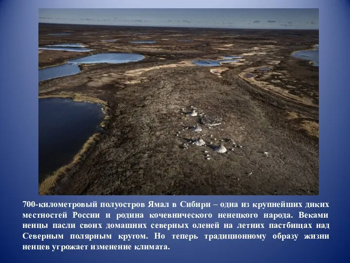 700-километровый полуостров Ямал в Сибири – одна из крупнейших диких местностей