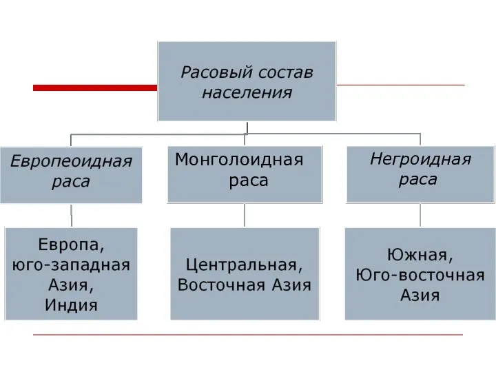 Негроидная раса Монголоидная раса