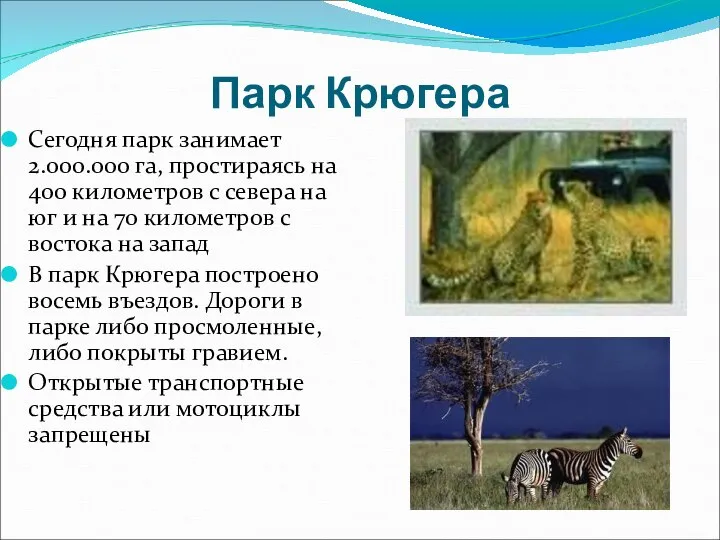 Парк Крюгера Сегодня парк занимает 2.000.000 га, простираясь на 400 километров