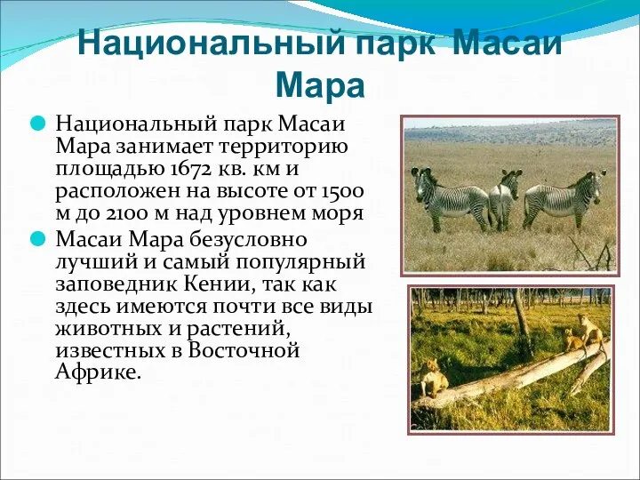 Национальный парк Масаи Мара Национальный парк Масаи Мара занимает территорию площадью