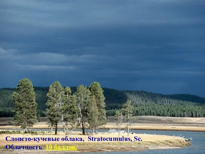 Слоисто-кучевые облака, Stratocumulus, Sc. Облачность 10 баллов.