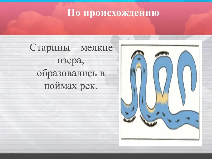 По происхождению Старицы – мелкие озера, образовались в поймах рек.