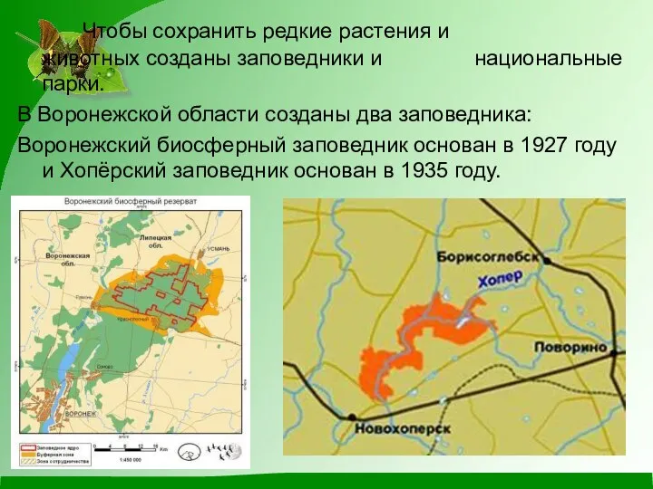 Чтобы сохранить редкие растения и животных созданы заповедники и национальные парки.