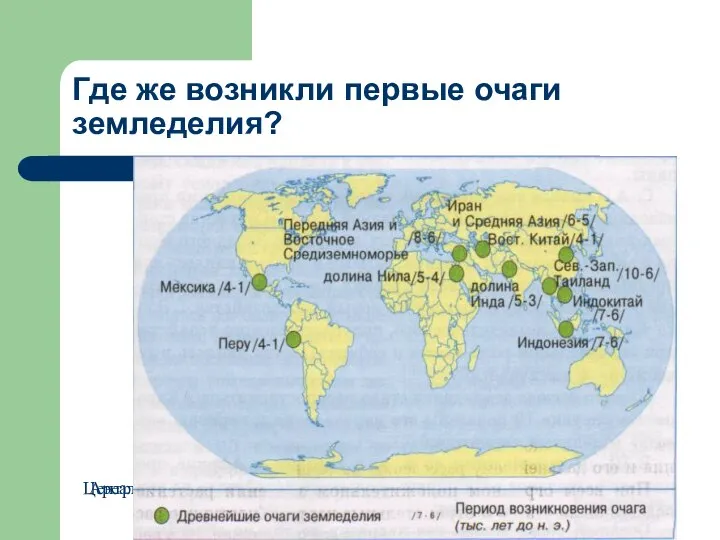 Где же возникли первые очаги земледелия? Центры возникновения культурных растений Ареалы