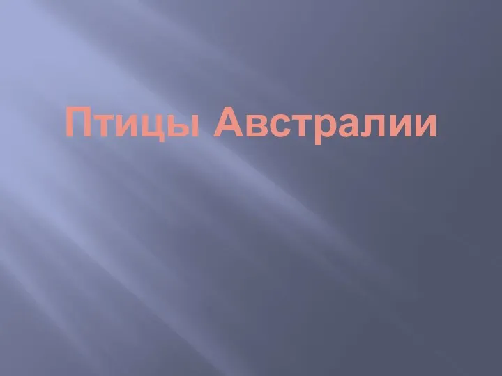 Птицы Австралии