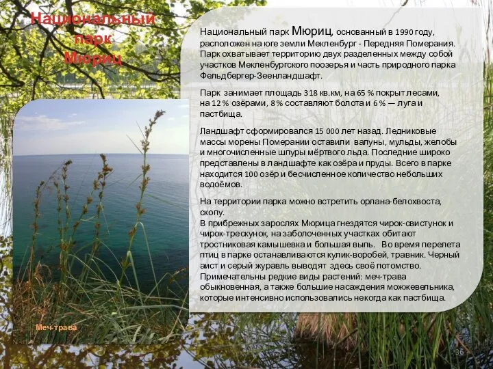 Национальный парк Мюриц, основанный в 1990 году, расположен на юге земли