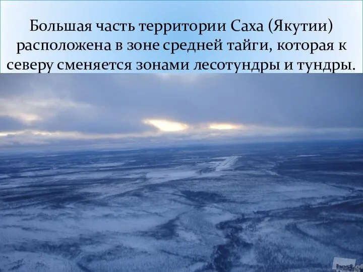 Большая часть территории Саха (Якутии) расположена в зоне средней тайги, которая