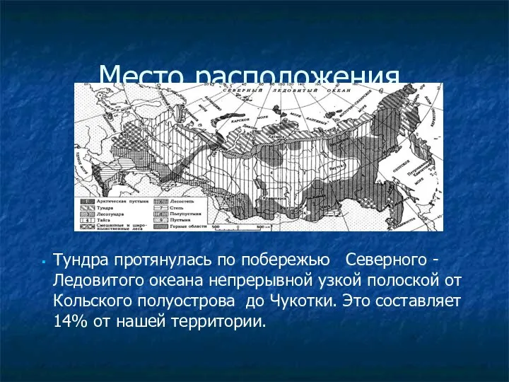 Место расположения. Тундра протянулась по побережью Северного - Ледовитого океана непрерывной