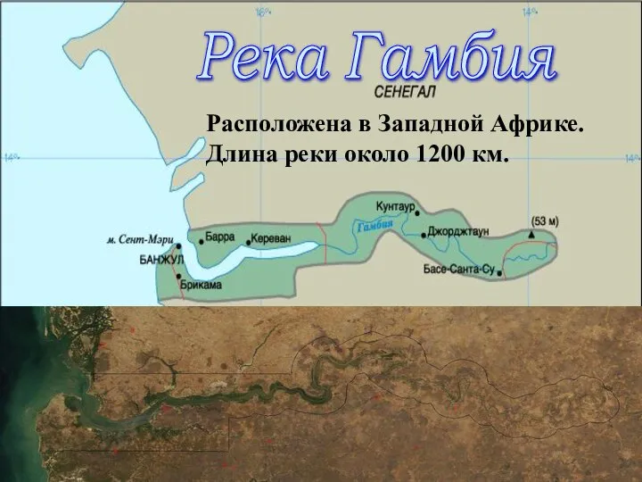 Река Гамбия Расположена в Западной Африке. Длина реки около 1200 км.