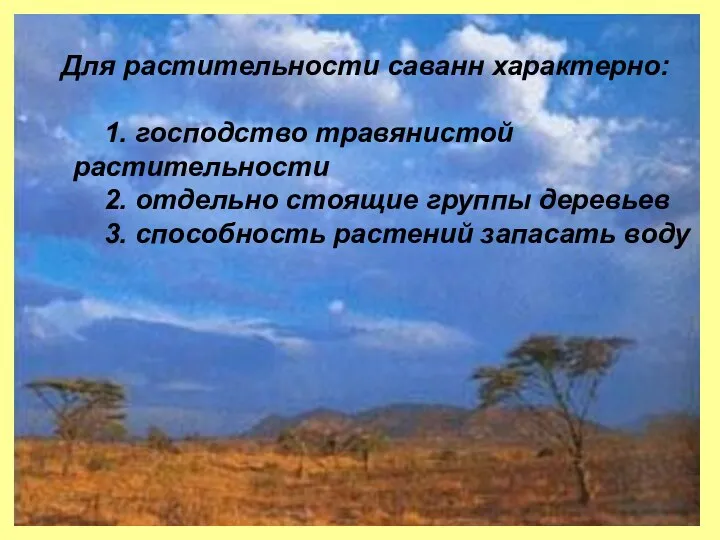 Для растительности саванн характерно: 1. господство травянистой растительности 2. отдельно стоящие
