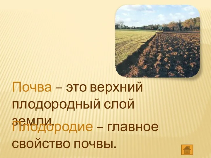 Почва – это верхний плодородный слой земли. Плодородие – главное свойство почвы.