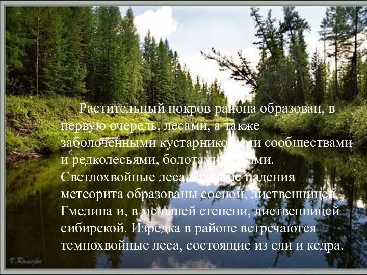 Растительный покров района образован, в первую очередь, лесами, а также заболоченными