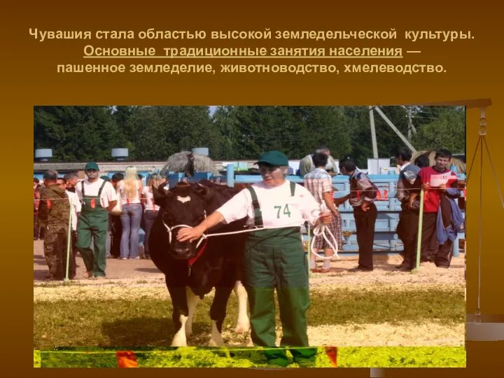 Чувашия стала областью высокой земледельческой культуры. Основные традиционные занятия населения — пашенное земледелие, животноводство, хмелеводство.