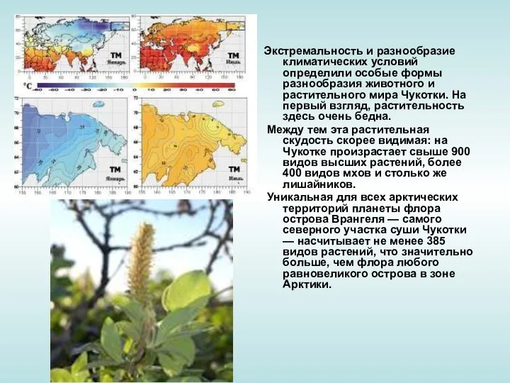 Экстремальность и разнообразие климатических условий определили особые формы разнообразия животного и