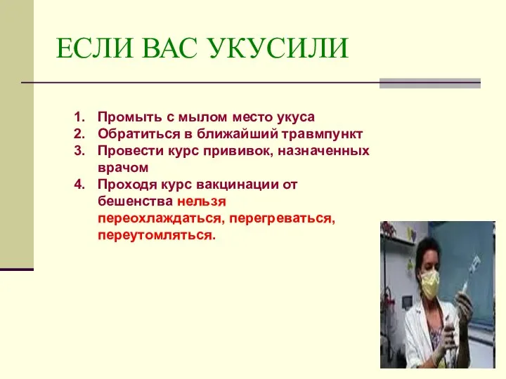 ЕСЛИ ВАС УКУСИЛИ Промыть с мылом место укуса Обратиться в ближайший