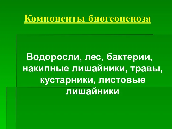 Компоненты биогеоценоза Водоросли, лес, бактерии, накипные лишайники, травы, кустарники, листовые лишайники