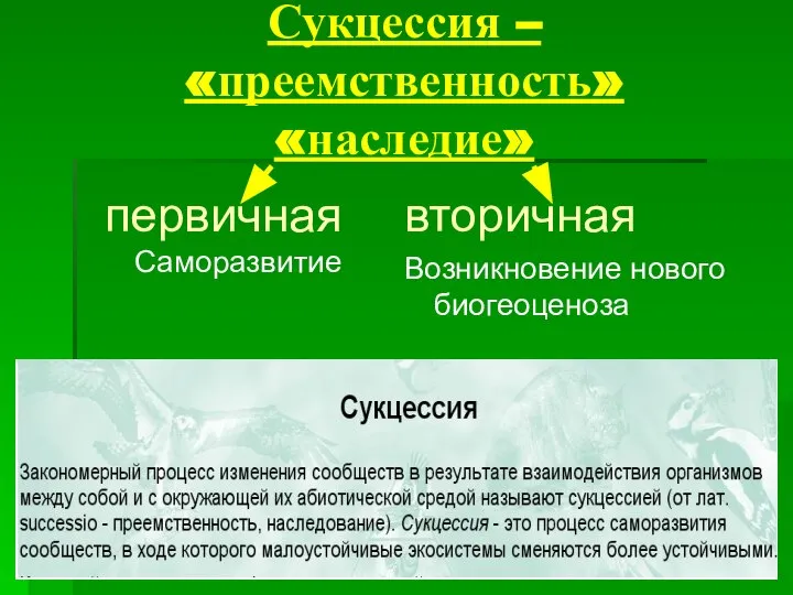 Сукцессия –«преемственность» «наследие» первичная Саморазвитие вторичная Возникновение нового биогеоценоза