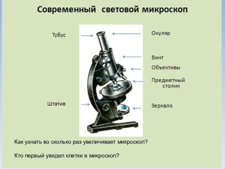 Как узнать во сколько раз увеличивает микроскоп? Кто первый увидел клетки в микроскоп?