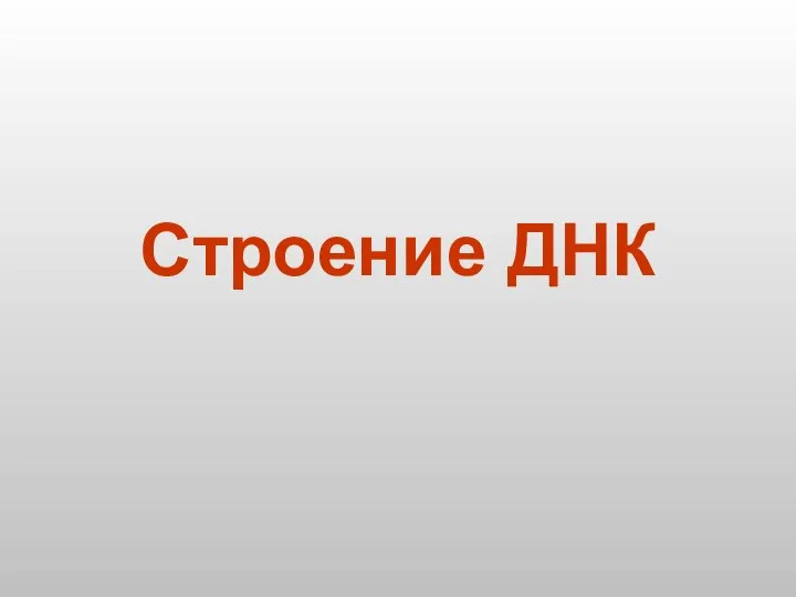 Строение ДНК