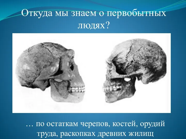 Откуда мы знаем о первобытных людях? … по остаткам черепов, костей, орудий труда, раскопках древних жилищ