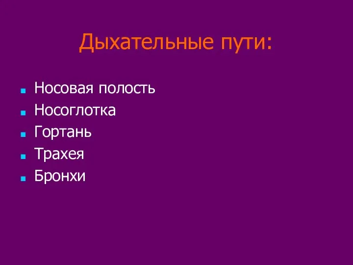 Дыхательные пути: Носовая полость Носоглотка Гортань Трахея Бронхи