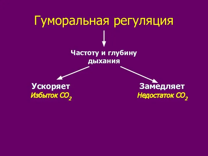 Гуморальная регуляция Частоту и глубину дыхания Ускоряет Избыток СО2 Замедляет Недостаток СО2