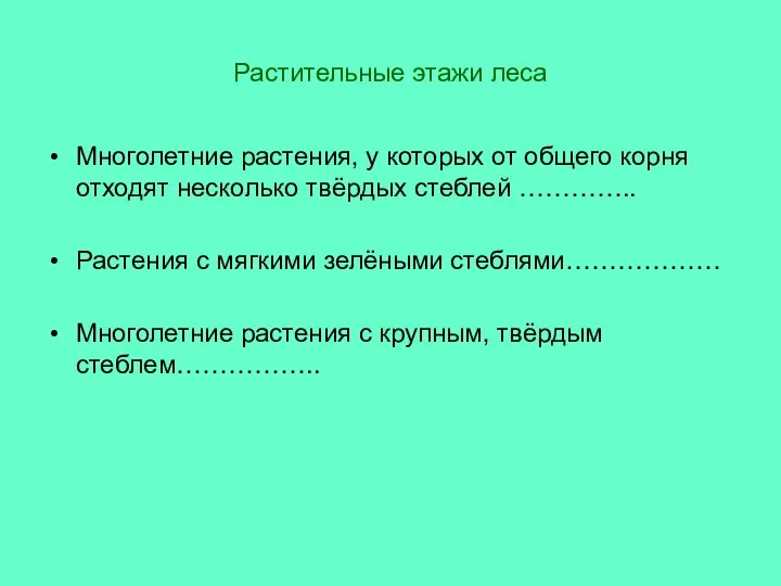 Растительные этажи леса Многолетние растения, у которых от общего корня отходят